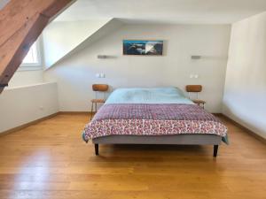 a bedroom with a bed in a attic at Le spacieux - centre ville in Gap
