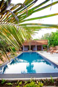a swimming pool in front of a house with a palm tree at Viento - Habarana in Habarana