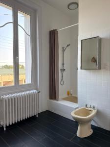 a bathroom with a toilet and a shower and a window at Large house - Garden pool in Cognac +12 photos