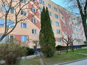 a large building with a tree in front of it at Apartament Jedenastka in Kraśnik