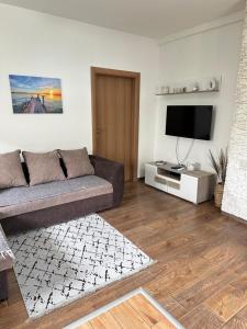 a living room with a couch and a flat screen tv at Apartman T&T in Cetinje