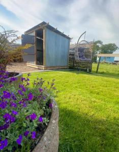 a garden with a gazebo and purple flowers at The Black Sheep Shepherd's Hut in Prestrie