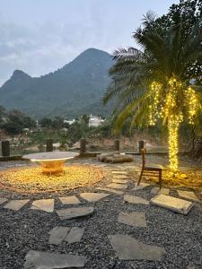 a fountain in a courtyard with a palm tree with lights at Loopmoto Riverside Homestay in Làng Lap