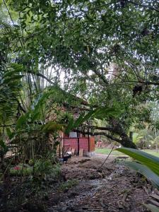 a small house in the middle of a forest at Bangalo O Galo in Itacaré +2 photos