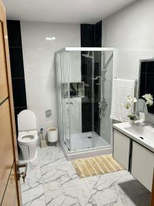 a bathroom with a shower and a toilet and a sink at Hotel Pirâmide in Igreja
