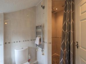 a bathroom with a toilet and a shower at A River Runs By in Staveley +20 photos