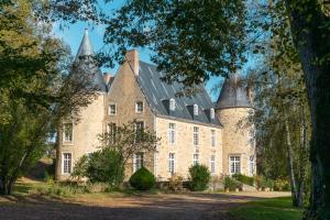 an old castle with turrets and trees in the foreground at Chateau de Vaux in Yvré-lʼÉvêque