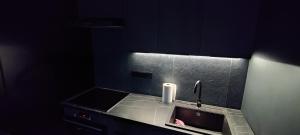 a kitchen with a sink with a soap dispenser on it at Centrum apartman s parkovaním in Trenčín