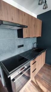 a kitchen with a sink and wooden cabinets at Centrum apartman s parkovaním in Trenčín