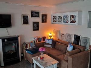 a living room with a couch and a fireplace at Sonnenhaus in Neuenkirchen