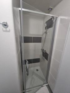 a shower with a glass door in a bathroom at Hôtel Relais des Vosges in Monthureux-sur-Saône