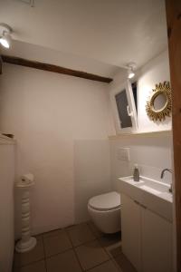 a bathroom with a toilet and a sink and a mirror at Ferienhaus 140 qm IGELMÜHLE, bei der romantischen Rödermühle an der Fränkischen Saale in Deutschlands Mitte, 8 km zur A7 in Hammelburg