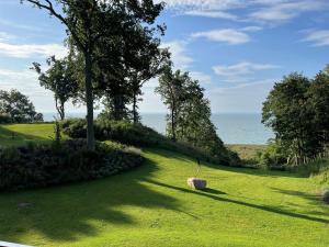 a garden with a tree and a field of grass at Apartment "Smilla" - DECK9 Am Haff in Garz
