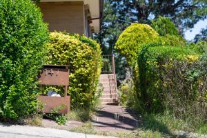 a box sitting in the middle of some bushes at The Valley View Guest House in Melbourne