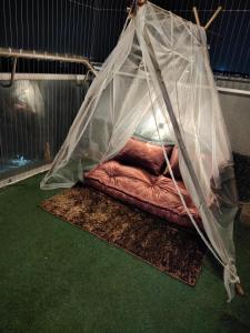a person laying in a cage under a net at Landin2home studios in New Delhi