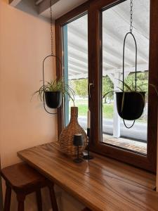 a window with two potted plants on a wooden table at Gurasada Park Hostel in Gothatea