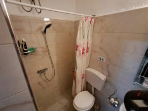 a small bathroom with a toilet and a shower at House in the old town with view in Gjirokastër