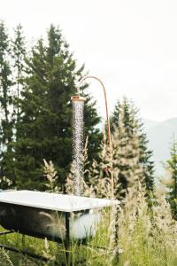 a bird bath in the grass with trees in the background at Hotel Glemmtalerhof in Saalbach-Hinterglemm +199 photos