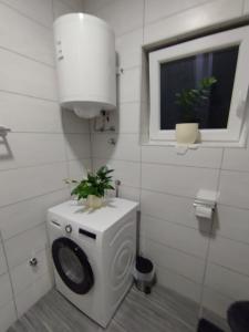 a bathroom with a washing machine with a plant on it at Apartmani Ljubica in Selce