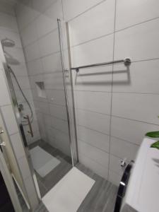 a shower with a glass door in a bathroom at Apartmani Ljubica in Selce +12 photos