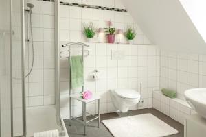 a bathroom with a toilet and a sink and a shower at Schloß Falkenhaus in Bad Berneck im Fichtelgebirge +23 photos