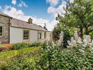 a garden with white flowers in front of a house at 1 Bed in Hawick oc-88731 in Hawick