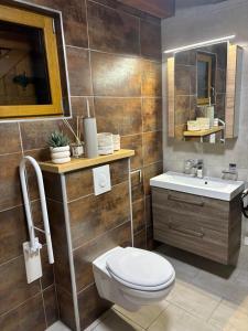 a bathroom with a toilet and a sink at Le ptit Sabot in Corcieux +22 photos
