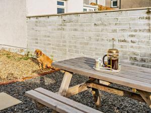a dog sitting next to a wooden picnic table at 2 Bed in Millom oc-93608 in Millom