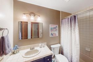 a bathroom with a sink and a toilet and a mirror at Sweeping Views! Charming Home Near Dtwn Jamestown in Jamestown +26 photos