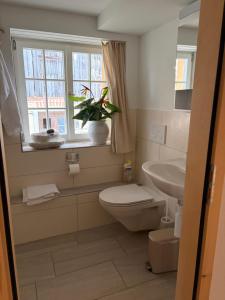 a bathroom with a toilet and a sink and a window at Ferienwohnung Obstgarten in Märstetten +15 photos