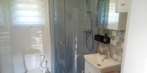 a bathroom with a shower and a toilet and a sink at Tinyhaus BLÜCHER und MONTY in Stuer