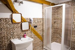 a bathroom with a sink and a shower with mirrors at Viešbutis DYVAI in Kupiškis +35 photos