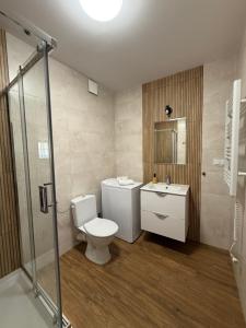 a bathroom with a toilet and a sink and a shower at Willa nad rzeką in Kłodzko +80 photos