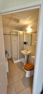 a bathroom with a toilet and a sink and a shower at Chambres à 2 pas du Mans in Trangé +7 photos