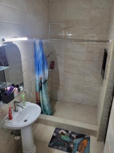 a bathroom with a shower and a sink at Steco rental in Amasaman +23 photos