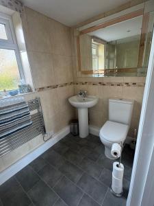 a bathroom with a toilet and a sink at Greenbanks 2 Damerham Self Catering in Damerham +27 photos