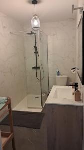 a bathroom with a glass shower and a sink at Maison cosy esprit campagne in Luçon +8 photos