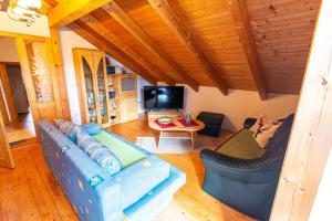 a living room with a blue couch and a tv at Ferienhaus Schachtenbach in Bayerisch Eisenstein