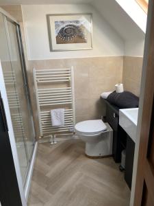 a bathroom with a toilet and a shower and a sink at The Threshing Barn Loft in Pont-y-Berem