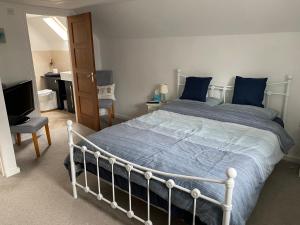 a bedroom with a bed with blue pillows and a television at The Threshing Barn Loft in Pont-y-Berem