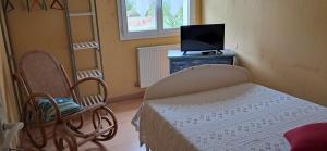 ein Zimmer mit einem Bett, einem Fernseher und einem Stuhl in der Unterkunft Douce vallee in Vaux-lès-Saint-Claude