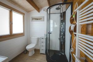 a bathroom with a toilet and a glass shower at Chalet in Le Teich +28 photos