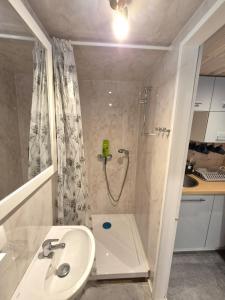 a white bathroom with a shower and a sink at Domek na Kaszubach w Potęgowie in Kamienicki Młyn