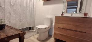 a bathroom with a toilet and a sink at El gran Jacarandá in Viña del Mar