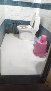 a bathroom with a white toilet and a pink pot at narayan home stay in Ayodhya