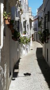 an alley with white buildings and potted plants at Villa Arcos in Arcos de la Frontera