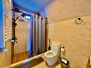 a bathroom with a toilet and a sink and a shower at Chill inn kazbegi in Kazbegi +21 photos