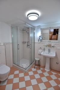 a bathroom with a shower and a toilet and a sink at Boutiquehotel Villa Rosenhof in Badenweiler