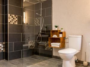 a bathroom with a shower and a toilet at Ô Délices de la Monnerie in Bourgnac