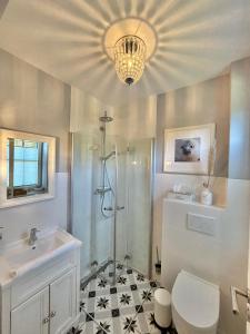 a bathroom with a shower and a toilet and a sink at Reetdachhaus Nordstern in Garding +57 photos